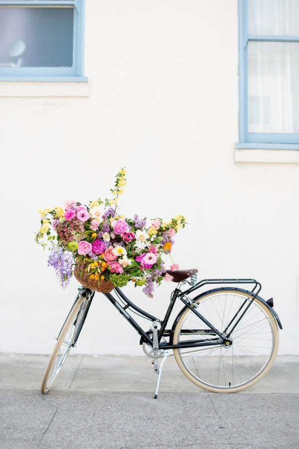 san francisco lifestyle photography - cindy loughridge