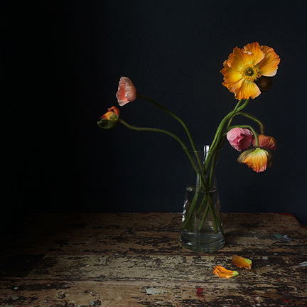san francisco lifestyle photography - cindy loughridge