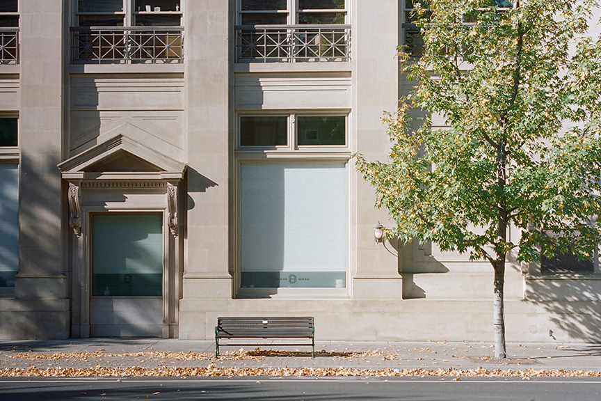 san francisco lifestyle photography - cindy loughridge