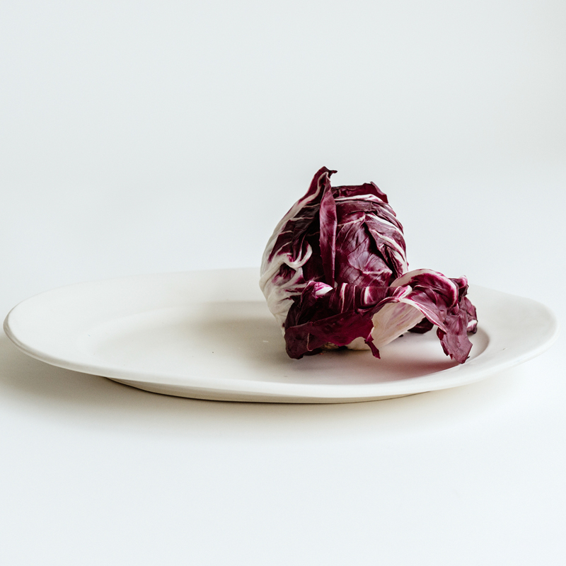 san francisco lifestyle photography - cindy loughridge
